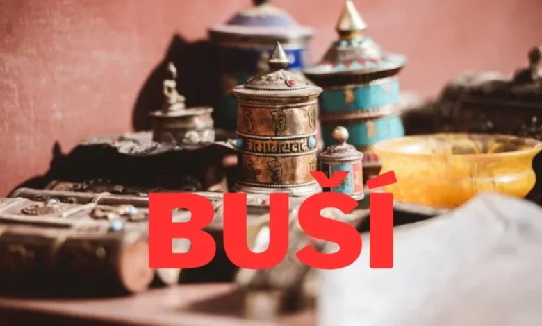 Buší Unveiled: Exploring the Multifaceted Meanings of a Word