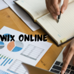 Sowix Online: Revolutionizing Digital Interaction and Connectivity