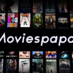 Moviespapa download Bollywood, South, and Punjabi Movies and Series - Top Alternatives